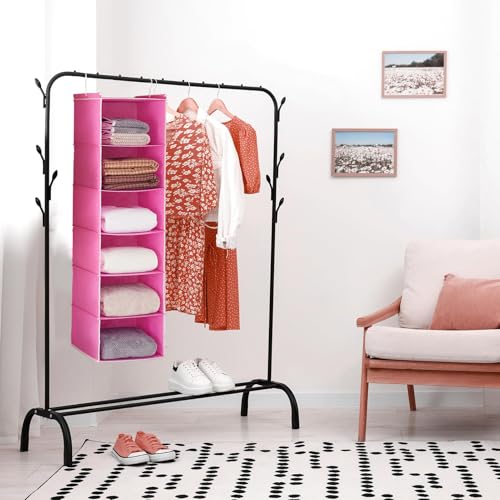 MAX Houser 6-Shelf Hanging Closet Organizer, Hanging Storage Shelves with 2 Sturdy Hooks Space-Saving for Bedroom, Foldable (Pink) - color: Pink