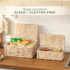 Set of 2 White Wicker Baskets with Lid - color: White