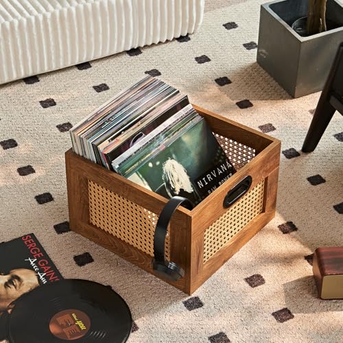 LELELINKY 2 Pack Vinyl Record Storage Crates, Rattan Vinyl Record Holder with Handle, TeaC Record Crate for Vinyls Holder up to 75 LP's, Desktop Cube Album Storage for Vinyls Records - color: TeaC, size: 2 Pack