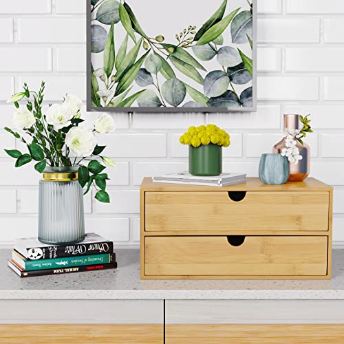 Wisuce Bamboo Desk Drawer Organizer, Desktop Organizer with Drawers Tabletop Storage Organization Box for Office Home Toiletries Supplies Vanity, No Assembly Required(2 Drawers) - style: 2 Drawers