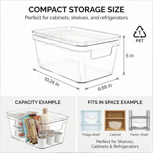 MOONEDGE Small Clear Plastic Storage Bins with Lids and Handles,Stackable Small Item Organizer Containers for Vanity,Craft,Office,Fridge,Kitchen,Pantry,Bathroom,Closet – 2 Pack (10×6×5 in) - size: 2 Pack