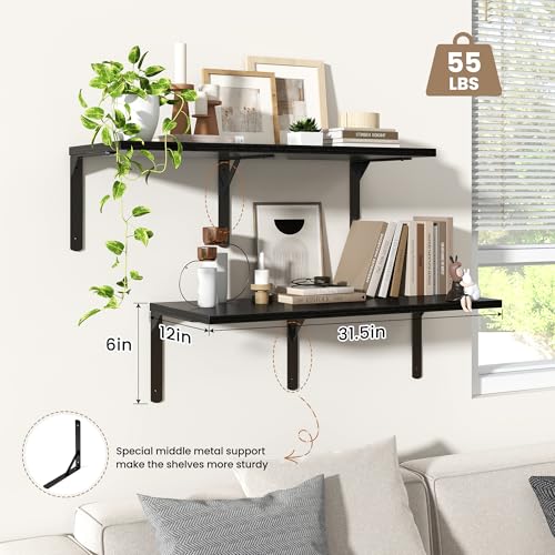 Fun Memories Floating Shelves for Wall, 12 Inch Deep Floating Shelves Set of 2, Wall Mounted Shelf with Metal Brackets, Rustic Wood Wide Shelf for Bathroom, Kitchen and Living Room, Black, 32W x 12D - color: Black- L Bracket, size: 31.5"W x 12"D