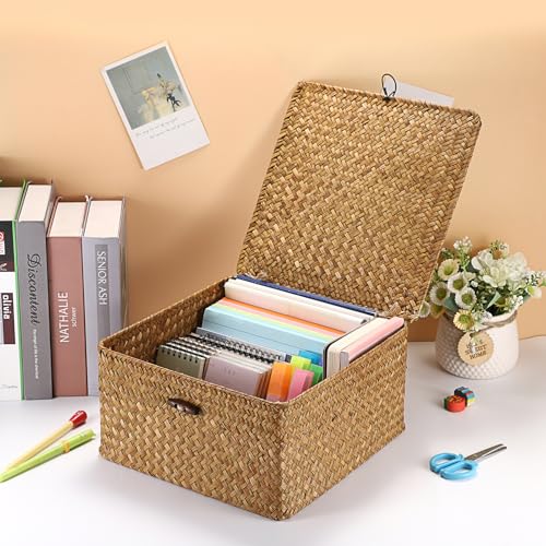 Hipiwe Handwoven Seagrass Basket Bin Square Household Storage Container with Lid Wicker Shelf Basket Bin for Bookshelf Living Room Bath Room, Large Caramel - color: Caramel, size: Large
