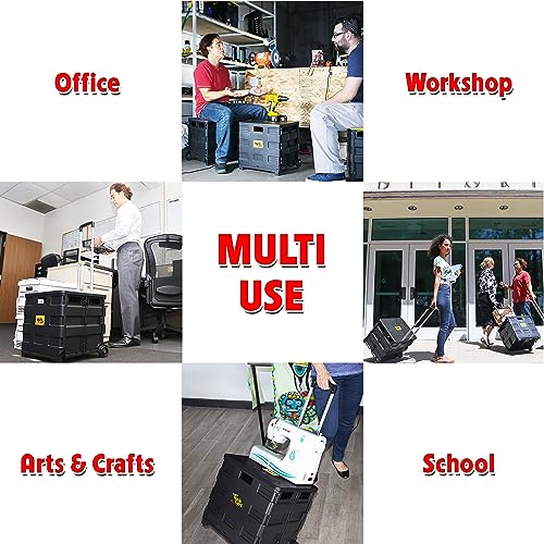 dbest Products Quik Cart Sport Collapsible Rolling Crate on Wheels for Teachers Tote Basket 80 lbs Capacity, Made from Heavy Duty Plastic, Black, Compact - color: Black, style: Sport