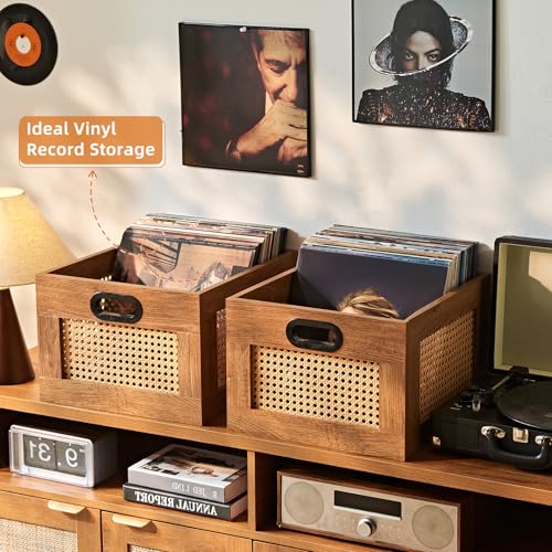 LELELINKY Vinyl Record Storage Crate, Rattan Vinyl Record Holder with Handle, Wood Record Crate for Vinyls Holder up to 75 LP's, Desktop Cube Album Storage for Vinyls Records(Tea Brown) - color: TeaC, size: 1 Pack