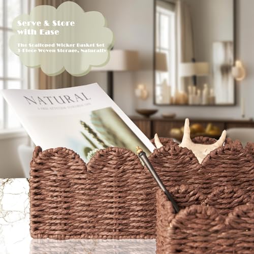 Scalloped Wicker Baskets, Set of 3 Hand-Woven Storage Baskets with Handles - Paper Rope Shelf Organizers & Decorative Baskets for Shelves, Closet, Bathroom (Brown） - color: Brown