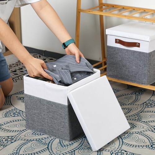 Temary Foldable Fabric Storage Bins with Lids, 2-Pack Storage Bin for Organizing Living Room, Closet Organization, Multi-Purpose Storage Boxes for Clothes (White&Grey, 10.5x10.5x10.5in) - color: White&Grey, size: 10.5×10.5×10.5