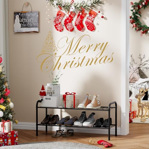 Shoe Rack,Long Shoe Organizer for Closet,Wide Shoe Storage for Entryway, 2 Tier Sturdy Metal Free Standing Shoe Shelf - size: 2-tier