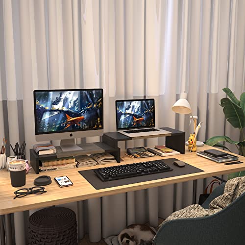 WESTREE Dual Monitor Stand Riser - 2 Shelf Computer Stand with Adjustable Length and Angle, Desktop Organizer for 2 Monitors - color: Grey