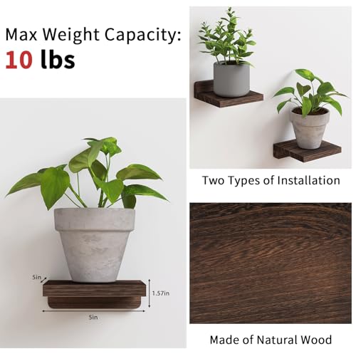 Fixwal Small Shelf for Wall, 5X5 Inches Floating Shelves Set of 4, Rustic Wood Small Wall Mounted Shelves for Bedroom, Living Room, Kitchen, Bathroom Decor (Dark Carbonized Black) - color: Dark Carbonized Black