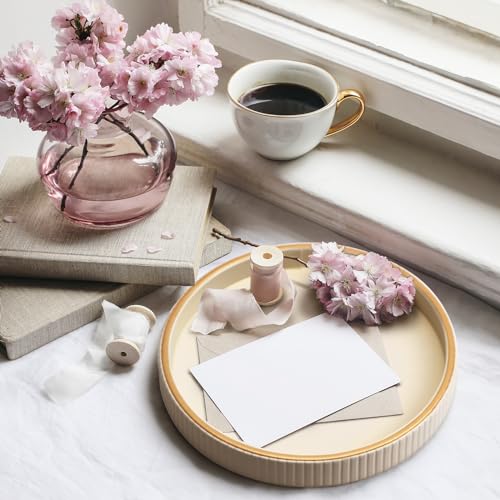 SANZIE Leather Tray Desktop Storage Organizer Premium Serving Trays Decorative Tray Valet Tray for Sundries Cosmetics Phone Wallet Cutlery (White Holder with Disc) - color: White Holder With Disc