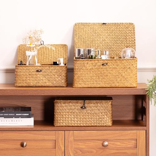 Nonam Small Basket with Lid, Natural Seagrass Bin with Lid, Shelf Baskets Multipurpose Container for Boho Decoration, Rectangular Household Storage Boxes for Home Organization-Natural - color: S-Natural