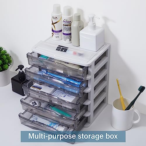 Charmewooden Plastic Drawers 5 Layer Desktop Storage, Small Organizer Box Storage Container Case, Desktop Organizer with Clear Drawers for Home, Office, Stationery, Jewelry and Cosmetics