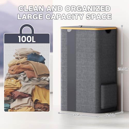 BlissTotes Laundry Basket with Lid, 100L Clothes Laundry Hamper with Handles and Removable Laundry Bag, Breathable Design Hamper with Lid for Bedroom, Bathroom, Dorm, Laundry Room - Light Grey - color: Light Grey, size: 100L