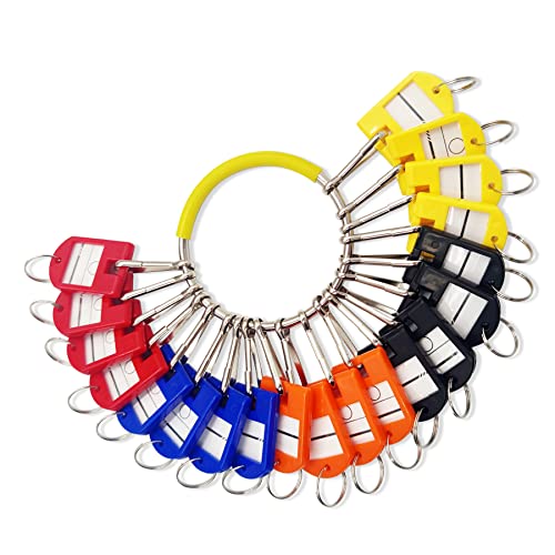 Portable Key Organizer, Key Organizer Keychain with 20 Individual Spring Hooks and Key Tags for Multiple Keys, Lightweight Key Holder for Office, Janitor, Hotel, Apartments, Cars Rental
