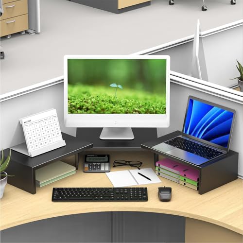 Desk Organizers and Accessories, Dual Monitor Stand Riser, Monitor Desk Shelf for Desktop Organization (Black) - color: Black