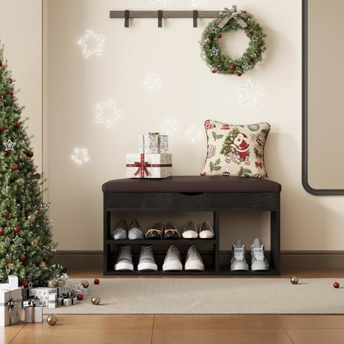 Apicizon Entryway Bench with Shoe Storage, Black, 2-Tier Shoe Rack, Padded Cushion, Wooden Frame - color: Black, size: 31 Inch
