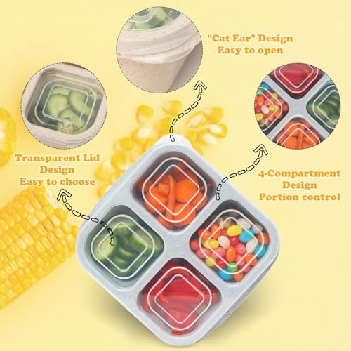 4 Pack Meal Prep Containers, 4 Compartment Bento Snack Boxes, Reusable Divided Lunch Box Containers for Adults, Kids, Toddlers, Travel, Work, School - color: 4Pack-Multicolor