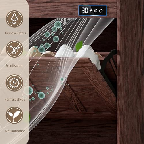 ChooChoo Shoe Storage Cabinet with 2 Flip Drawers, Deodorizing Shoe Organizer Storage for Entryway, Freestanding Hidden Slim Narrow Shoe Rack Cabinet, Walnut - color: Walnut, size: 2-Drawers