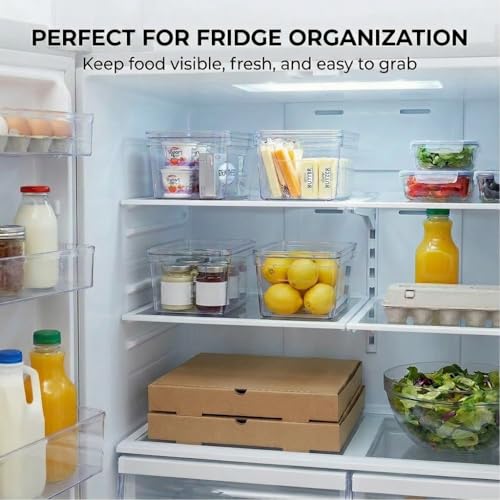 MOONEDGE Small Clear Plastic Storage Bins with Lids and Handles,Stackable Small Item Organizer Containers for Vanity,Craft,Office,Fridge,Kitchen,Pantry,Bathroom,Closet - 4 Pack (10×6×5 in) - size: 4 Pack