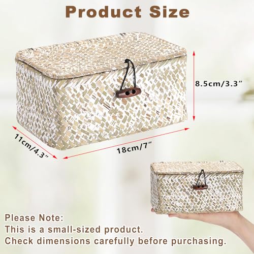 Hipiwe Mini Seagrass Basket with Lid Decorative Shelf Basket Box Multipurpose Desktop Organizer, Whitewash 7.0" x 4.3" x 3.3" - color: Whitewash color, size: 7.0" x 4.3" x 3.3"
