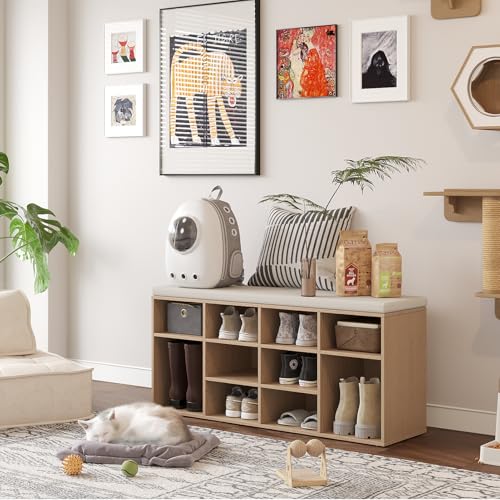 DINZI LVJ Shoe Storage Bench with Cushion, 12-Cubby Shoe Rack, Adjustable Shelves, 40.9" Long Shoe Organizer Bench for Entryway, Mudroom, Hallway, Garage, Natural and Cappuccino Beige - color: Natural, size: 12 Cubby