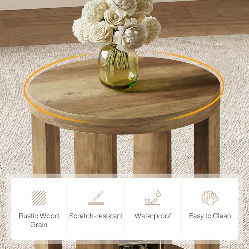 Tribesigns Side Table, 2-Tier Round End Table, Small Bedside Accent Furniture for Living Room, Bedroom (1, Brown)