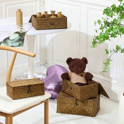 Woanger Set of 4 Wicker Storage Baskets Organizer，Handwoven Storage Bins with Lid for Organizing, Home Utility Box for Home Office Supplies Multipurpose Container(Retro Color) - color: Retro Color