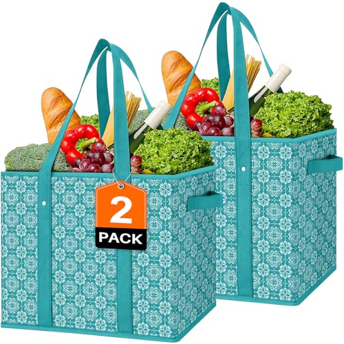 WISELIFE Reusable Grocery Bags [2 Pack],Large Grocery Tote Bag Water Resistant Shopping Bags Foldable Grocery Bag for Clothes,Shoes and Picnic,Green - color: Green, size: 2 PCS