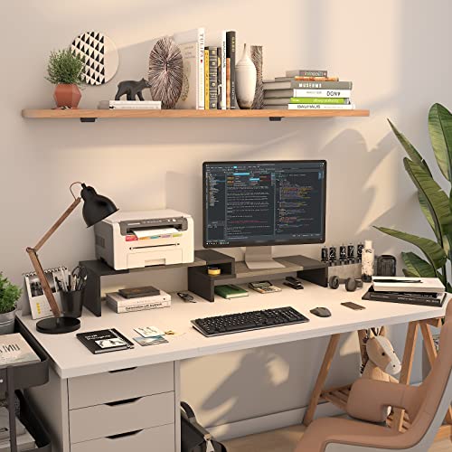 WESTREE Dual Monitor Stand Riser - 2 Shelf Computer Stand with Adjustable Length and Angle, Desktop Organizer for 2 Monitors - color: Grey