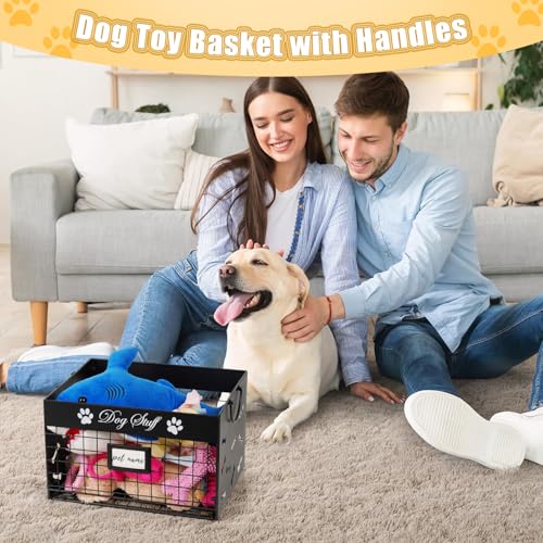 Bfttlity Dog Toy Bin - Metal Dog Toy Basket Box with Handles and Label Position Design Perfect for Pet Toys, Blankets, Clothes and Food (Not Included Label) - color: Small Black