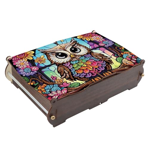 antor DIY Diamond Painting Wooden Storage Box, Owl Creative Special Shaped Rhinestone Art Flip Cover Jewelry Organizer Gift Case, Handmade Art Desktop Decor - color: Colorful Owl