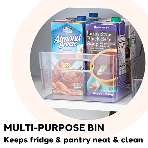 Oggi Cabinet / Drawer High Wall Storage Bin (12" x 8.75" x 5") - size: 12" x 8.75" x 5"