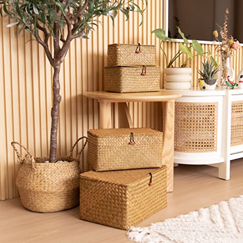 4 Pack, Wicker Baskets with Lids, Nautral Seagrass Storage Baskets, Woven Rectangular Basket Bins, Rattan Storage Organizer for Shelf - color: Natural