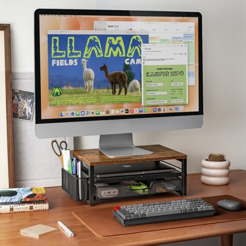 ARCOBIS Monitor Riser with Drawers and Pen Holders, Wood & Mesh Metal Computer Monitor Stand with Storage for Desk, Rustic Brown