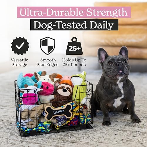 Metal Dog Toy Basket for Dogs and Cats (15” x 10” x 9”) - Heavy-Duty Storage Bin Holds Pet Chew Toys, Bones, Ropes, Blankets, Towels, Treats - Large Dog Toy Box for Living Room Area Organization
