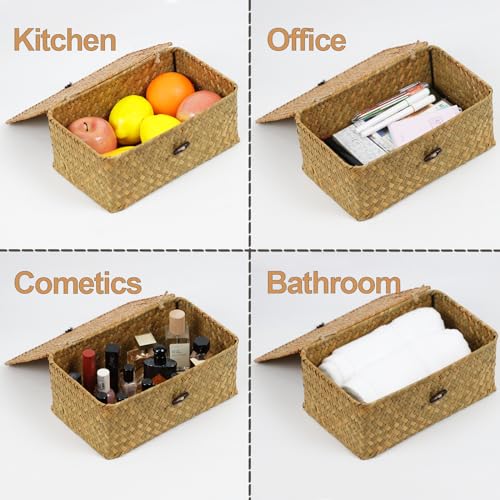 Wicker Basket with Lid, Natural Seagrass Storage Baskets for Organizing, Woven Basket for Storage, Decorative Boxes Bins with Lids Home Organizer Decor (‎Natural, Small) - size: 10.23" x 6.3" x 4.13"