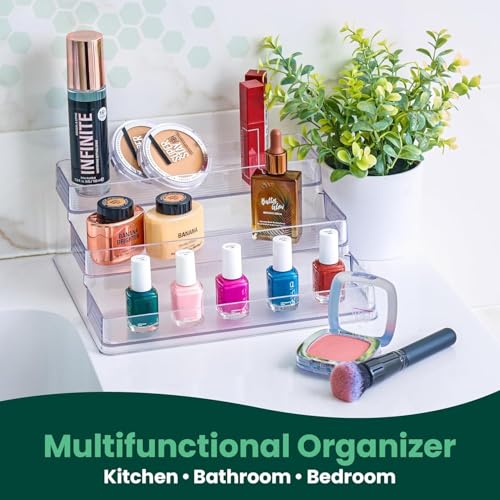Oizeir Clear Spice Rack (2-Pack) – 3-Tier Acrylic Organizer for Cabinet – Deep Spice Shelf – 10.4 x 9.6 x 4 Inches – Holds Seasoning and Condiments - size: 2-Pack