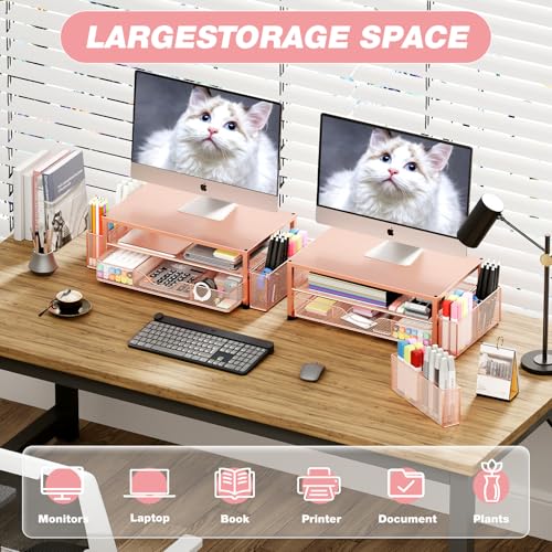 OPNICE Desk Organizers and Accessories, 2-Tier Computer Monitor Stand with Drawer and 2 Pen Holders, Laptop Stand, Office Desk Accessories for Office Supplies, Rose Gold - color: Rose Gold 1-Pack