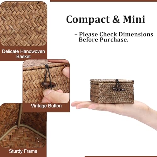 Mini Seagrass Basket Handwoven Small Wicker Basket with Lid Square Portable Storage Baskets for Key Jewelry Decorative Organizer Box for Shelf, 3.5"L x 3.5"W x 2"H - size: 3.5"L x 3.5"W x 2"H