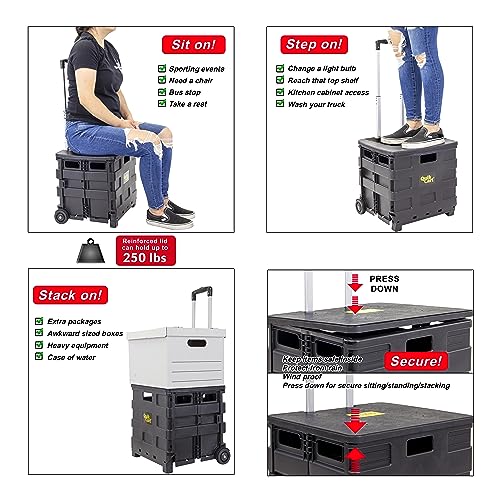 dbest Products Quik Cart Sport Collapsible Rolling Crate on Wheels for Teachers Tote Basket 80 lbs Capacity, Made from Heavy Duty Plastic, Black, Compact - color: Black, style: Sport
