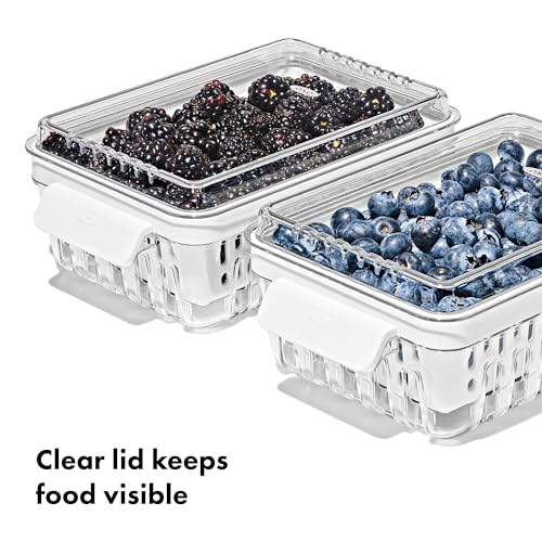 OXO Good Grips Produce Saver - Berry Keeper 2-Piece Set - style: Berry Keeper