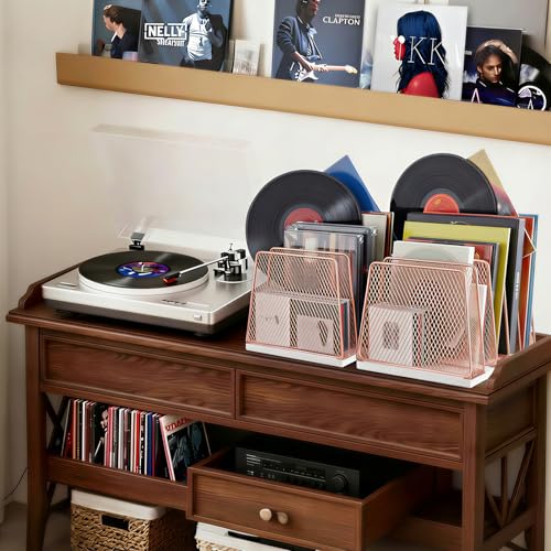 LEKETREE Rose Gold Desk File Organizer, 5-Section Upright File Sorter, Vertical File Folder Holder, Mesh Metal Wood Office Desktop Organization for Document, Magazine, Books and more (Rose Gold) - color: White and Rose Gold
