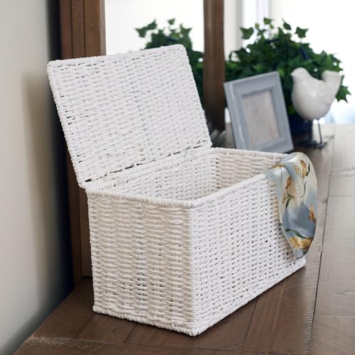 Household Essentials Small Wicker Basket with Lid, Multipurpose Storage Basket for Bathrooms, Shelves, Desks, Vanities, Closets and More, White - color: White, size: Small (Pack of 1)