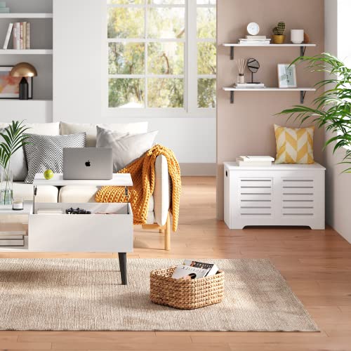 DINZI LVJ Long Wall Shelves, 31.5 x 7.9 x 6.1 Inches, Set of 2 White Floating Shelves, Easy-to-Install, Large Storage Ledges with Sturdy Metal Brackets for Living Room, Bathroom, Bedroom, Kitchen - color: White, size: 31.5 Inch