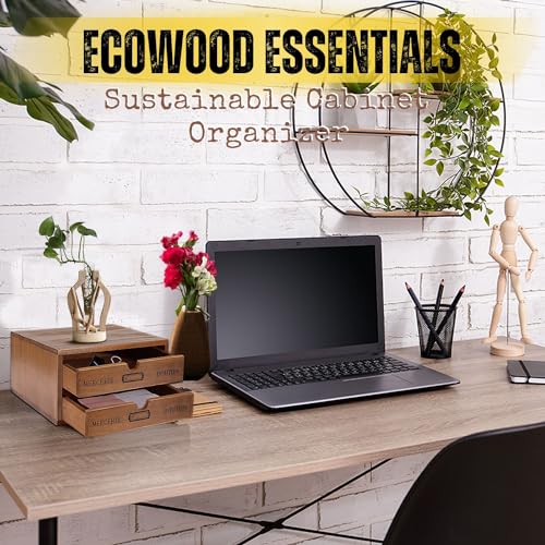 Flexzion Wooden Desktop Office Supplies Organizer with 2 Storage Drawers Set, 2-Tier Wood Tabletop Cabinet, Countertop Desk Accessories Box, for Home Workspace Counter Vanity Decor Art Craft Tool Mail - size: 2 drawer