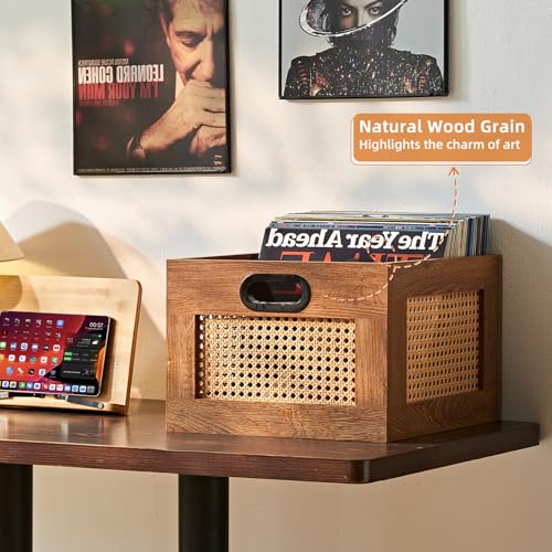 LELELINKY 2 Pack Vinyl Record Storage Crates, Rattan Vinyl Record Holder with Handle, TeaC Record Crate for Vinyls Holder up to 75 LP's, Desktop Cube Album Storage for Vinyls Records - color: TeaC, size: 2 Pack