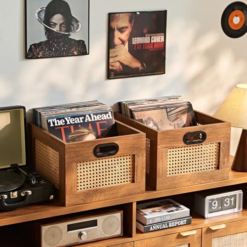 LELELINKY 2 Pack Vinyl Record Storage Crates, Rattan Vinyl Record Holder with Handle, TeaC Record Crate for Vinyls Holder up to 75 LP's, Desktop Cube Album Storage for Vinyls Records - color: TeaC, size: 2 Pack