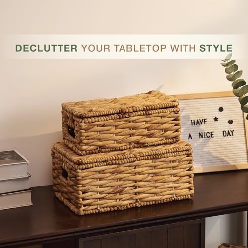 Set of 2 Wicker Baskets with Lid - Decorative Storage Boxes for Home Decor, Shelves - Woven Basket with Lid - Wicker Decor - Rattan Box - Decorative Bins with Lids (Natural) - color: Natural