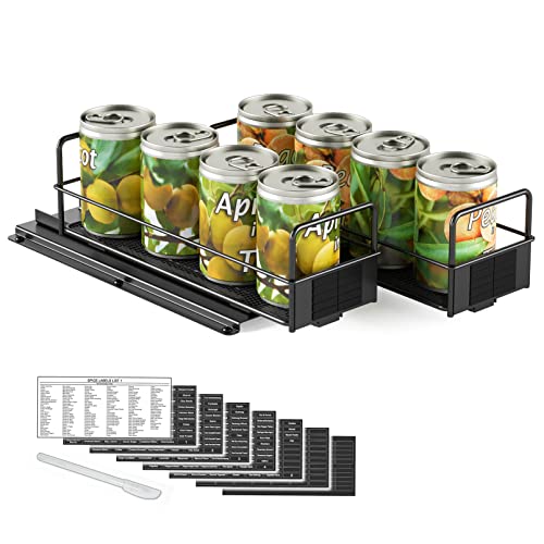 SpaceAid Pull Out Spice Rack Organizer for Cabinet, Heavy Duty Slide Out Seasoning Kitchen Organizer, Cabinet Organizer, with Labels, 7.7" W x10.8 D x4 H, 2 Drawers 1-Tier - style: Two 3"W Drawers, 1-Tier